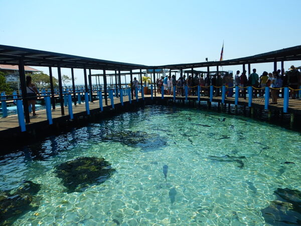 ロサリオ島の水族館