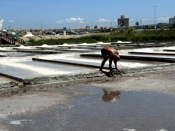 アヴェイロの塩田 