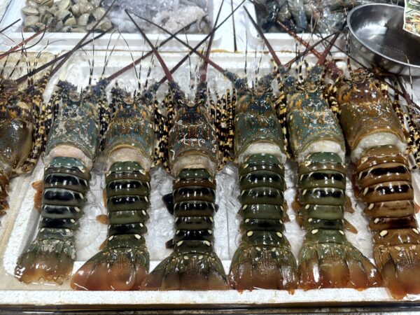 ソンチャー ナイトマーケット