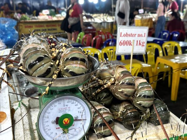 ソンチャー ナイトマーケット