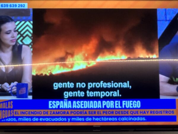 2025年 スペイン 山火事