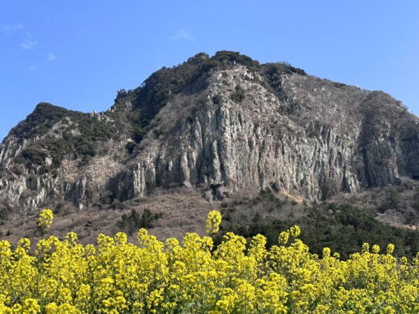 山房山