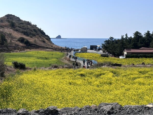 山房山