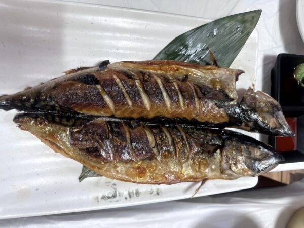 그리운바다 성산포
