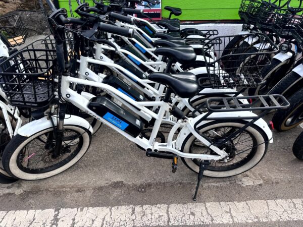 牛島 レンタサイクル