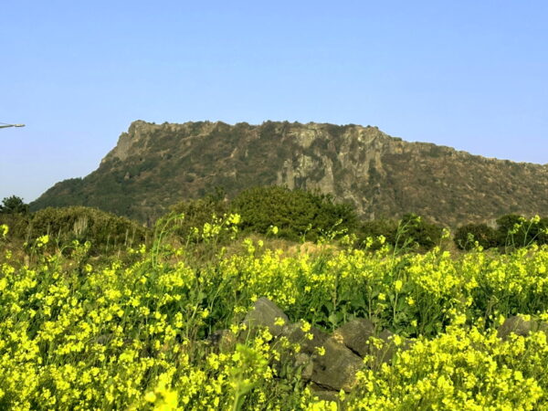 城山日出峰